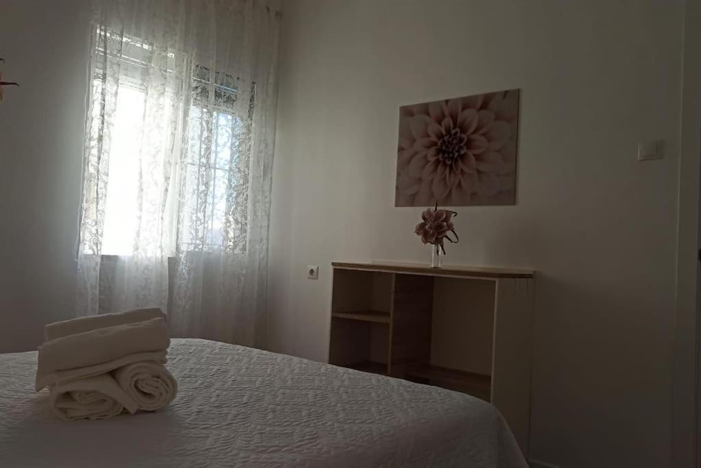 Acogedor Piso Centro, San Miguel Apartment Jerez de la Frontera Luaran gambar